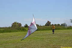 Venice kite festival_0083